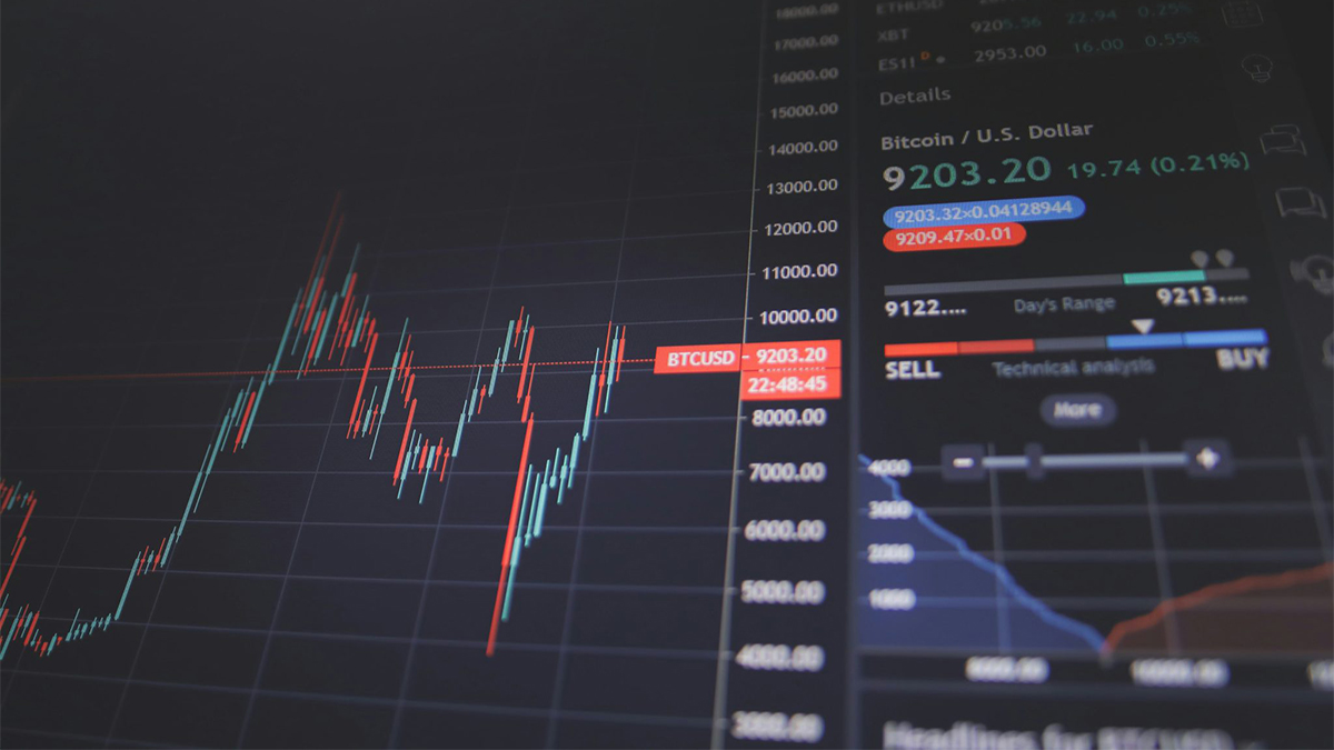 cripto-3 cripto-3